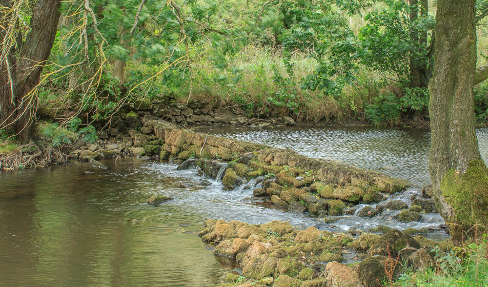 River Dove River Dove